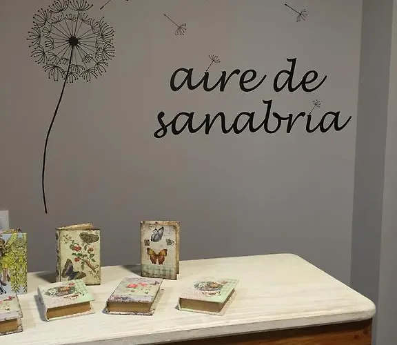 아파트호텔 Aire De Sanabria 3*